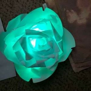 Meet your Posher, Felicia